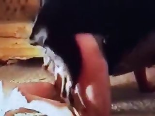 Young Girl Sucks Her Cousin And Fuck Her Dog