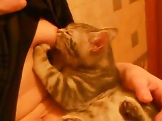 Dog Fuck Girl Behind