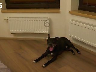 Dog Fuck Small Girl Porn