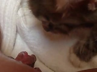 Girls Let Dog Fuck Her