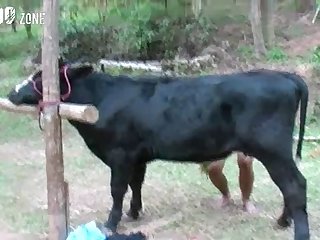 He Gonna Fuck That Little Dog