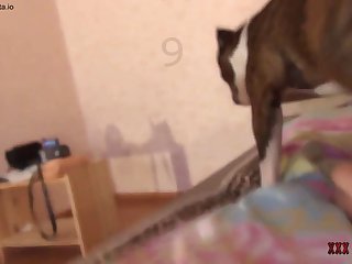 Interspecies Bestiality Porn