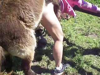 Pregnant Woman Fuck Dog