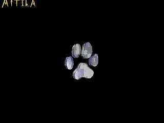 Licking Horse Pussy Porn