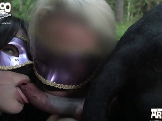 Real Animal Sex Stories