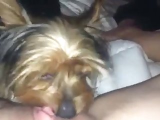 Horny On My Puppy