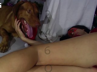 Dog Fuck Milf Hard